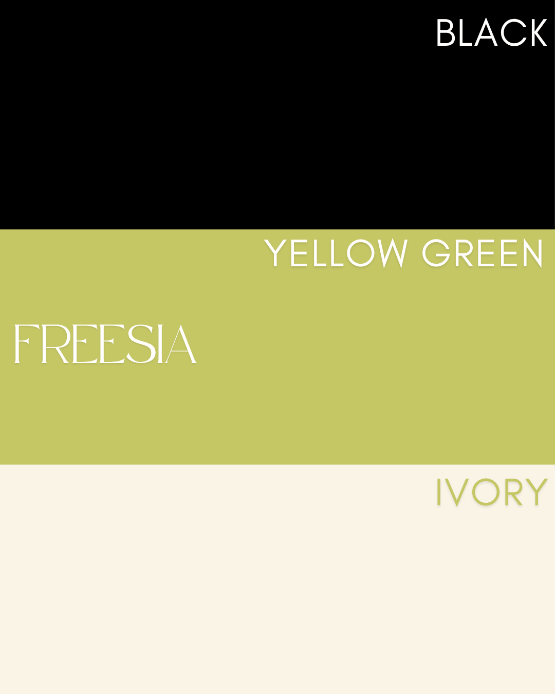Freesia Tops / Ivory & Black｜ビキニトップ